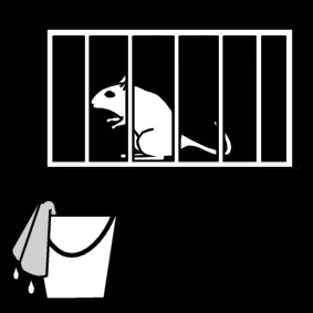gerbil clean cage